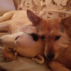 Meet your Posher, Cynthia